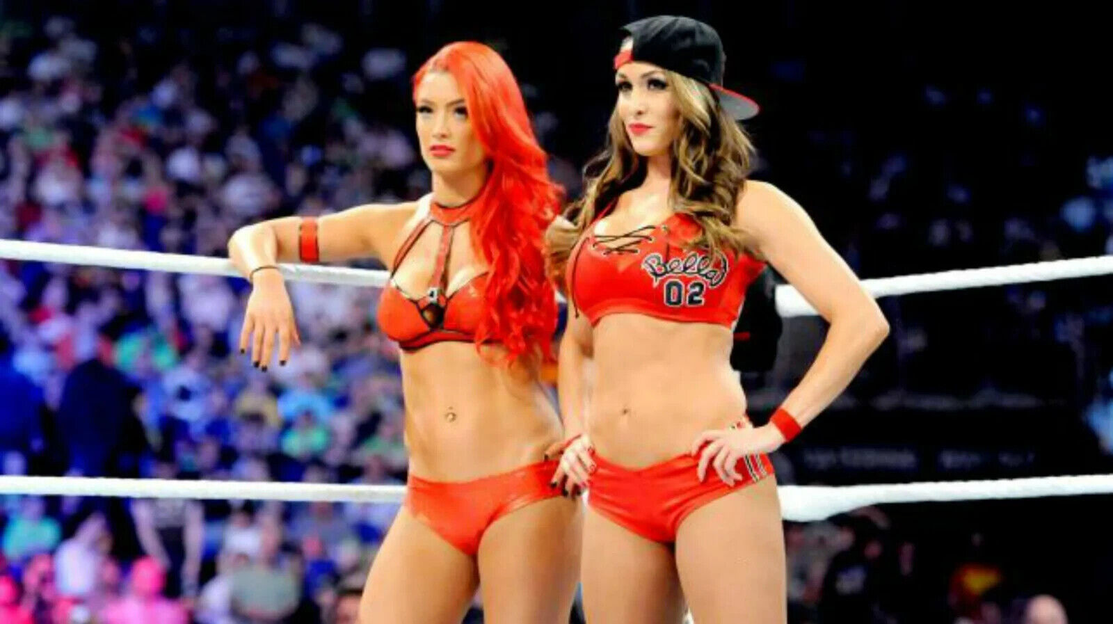 BEAUTIFUL EVA MARIE & NIKKI BELLA SEXY 8x10 Glossy Photo – Adira  Collectibles